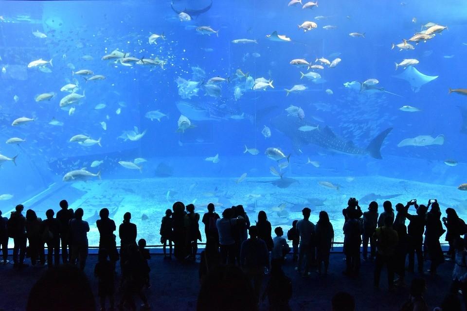 jakarta-aquarium